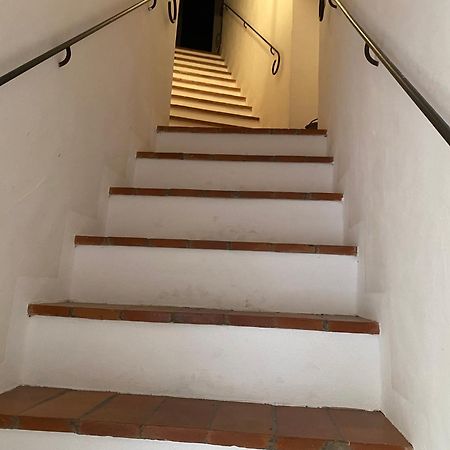 Orciatico La Ginestra - Terrazza 아파트 외부 사진