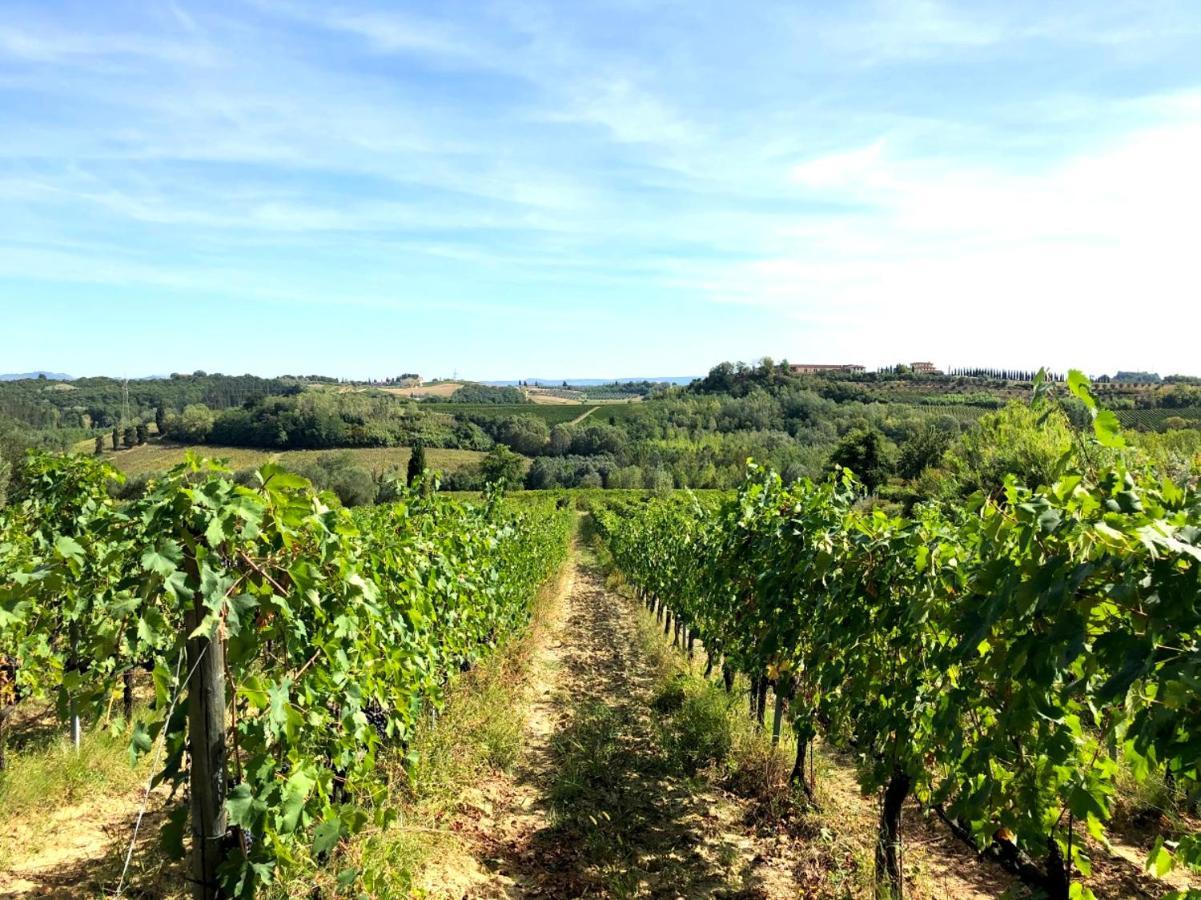 Orciatico La Ginestra - Terrazza 아파트 외부 사진